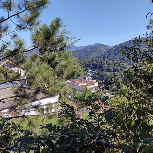 IMG_20240506_103259380_HDR