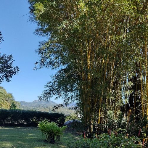 IMG_20240506_103703235_HDR